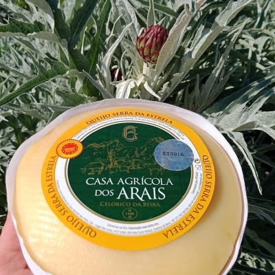 Box Degustação/Oferta