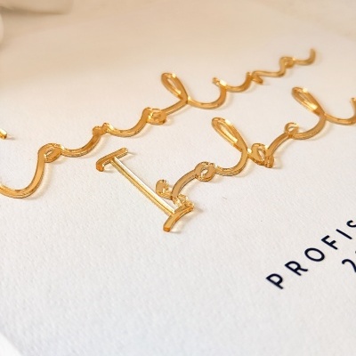 Livro&#x20;de&#x20;honta&#x20;deluxe&#x20;&#x2728;