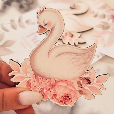 Iman&#x20;cisne&#x20;&#x1F9A2;