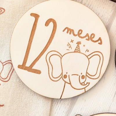 Milestones&#x20;1&#x00BA;&#x20;ano&#x20;&#x2661;