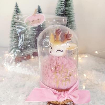 Mini&#x20;-&#x20;Camp&#x00E2;nula&#x20;Rena