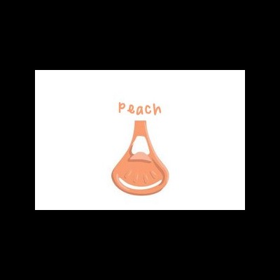 FIXADOR DE FRALDA REUTILIZÁVEL - SNAPPI