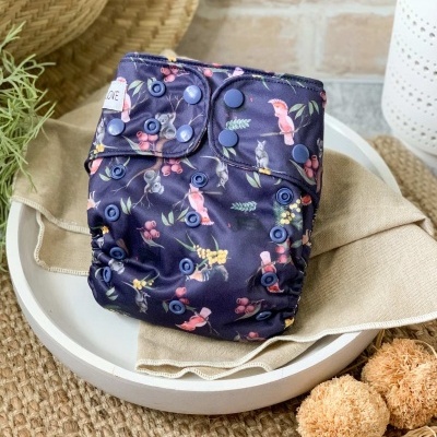 FRALDA REUTILIZÁVEL BASICS TAMANHO ÚNICO MOLAS - BARE LOVE