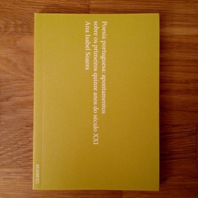 Poesia portuguesa: apontamentos sobre os primeiros quinze anos do Século XXI