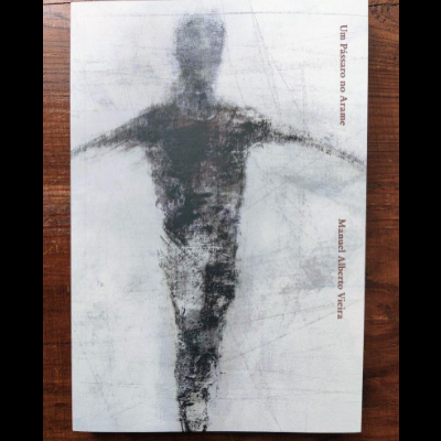 Um Pássaro no Arame, de Manuel Alberto Vieira 