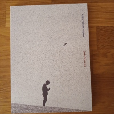 Estes ventos negros, de João Narciso