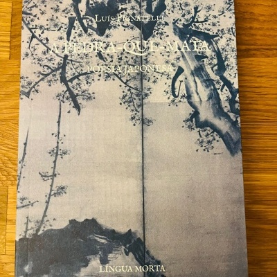 A Pedra-Que-Mata. Poesia Japonesa, por Luís Pignatelli