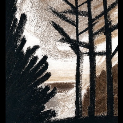 À Noite, na Floresta - de Sarah Cheveau