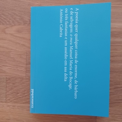 A poesia quer qualquer coisa de enorme, de bárbaro e de selvagem: o meu Manuel Maria do Bocage, ou três fantasias e um assédio em asa delta