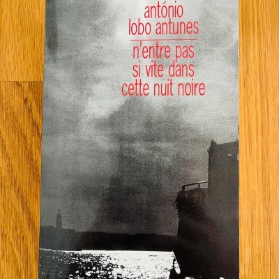 N'Entre Pas Si Vite Dans Cette Nuit Noire, de António Lobo Antunes