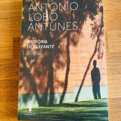 Memória de Elefante, de António Lobo Antunes
