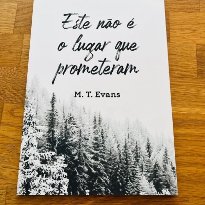 Este Não é o Lugar que Prometeram, de M. T. Evans