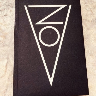 Zov, de Rui Manuel Amaral