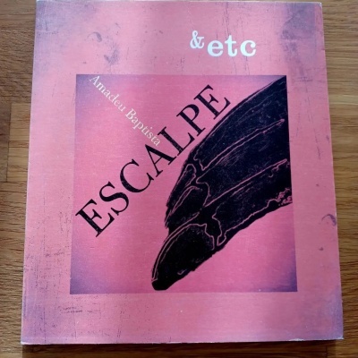 Escalpe, de Amadeu Baptista