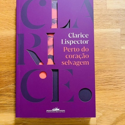 Perto do coração selvagem, de Clarice Lispector