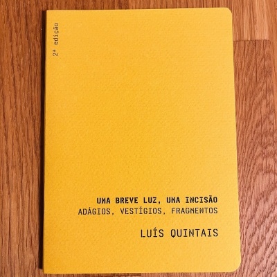 Uma Breve Luz, Uma Incisão - de Luís Quintais