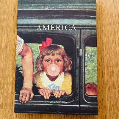 Capa de livro com criança a fazer bolha com pastilha no carro e textos relacionados ao título e autor.