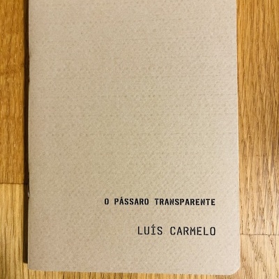O Pássaro Transparente, de Luís Carmelo