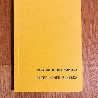 Pare Que o Fogo Aconteça, de Filipe Homem Fonseca
