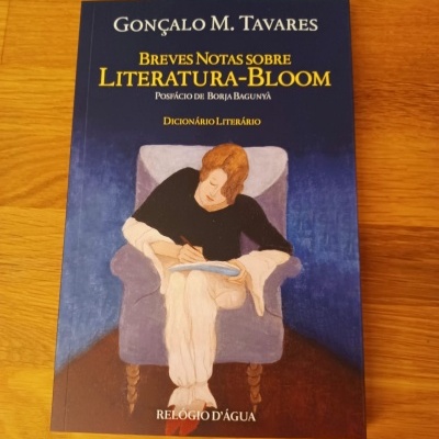 Breves Notas sobre Literatura-Bloom, de Gonçalo M. Tavares