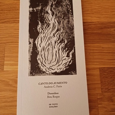 Canto do Aumento, de Andreia C. Faria