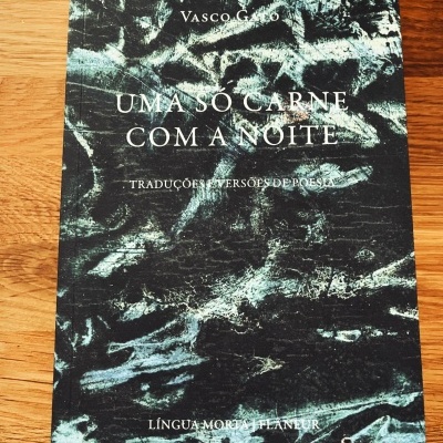 Uma só carne com a noite, de Vasco Gato