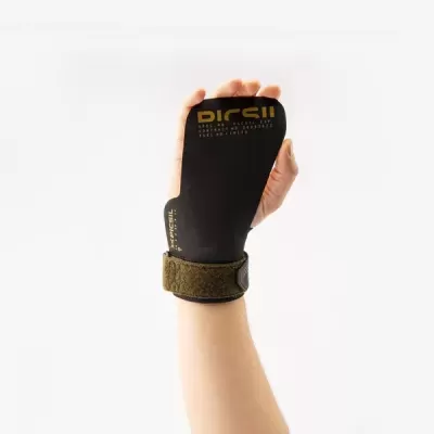 PICSIL Phoenix GRIPS NEW EDITION