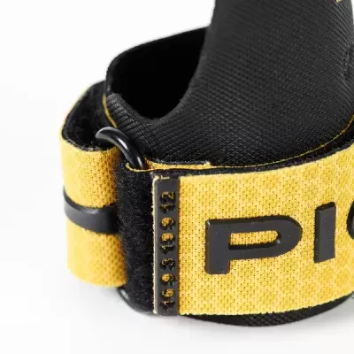 Picsil Golden Eagle Grips Picsil Golden Eagle Grips