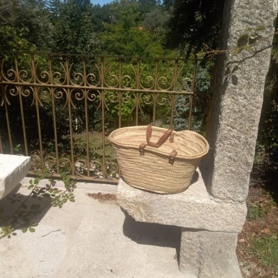 ceira&#x20;m&#x00E9;dia&#x20;asa&#x20;curta