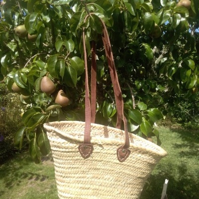 ceira&#x20;m&#x00E9;dia&#x20;asa&#x20;longa