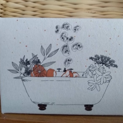 Caixa branca com ilustração de banheira e plantas em preto e laranja