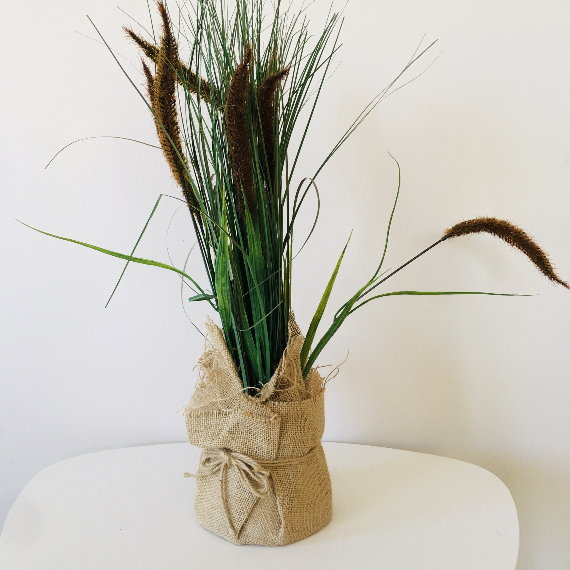 Plantas Decorativas | Sarapilheira