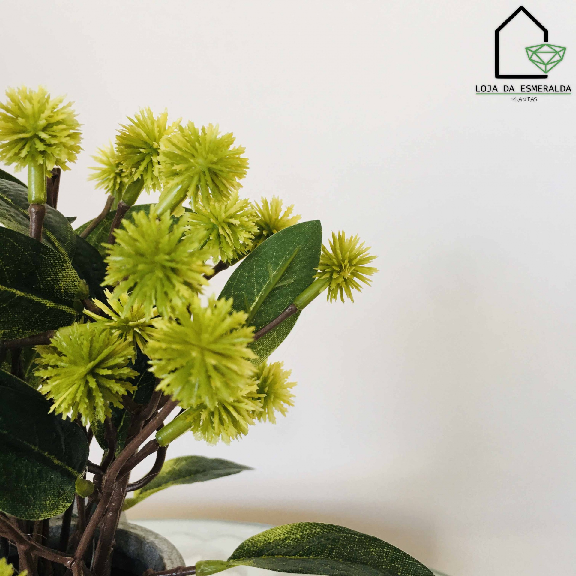 Planta Decorativa em Regador | 10x10x23CM