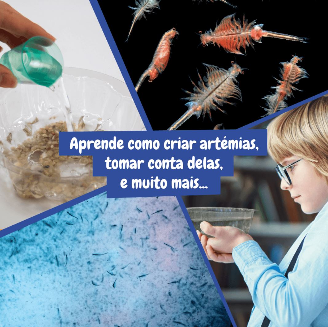 Brinquedo - Kit Criaturas Jurássicas - Mais de 6 Anos - Science4you