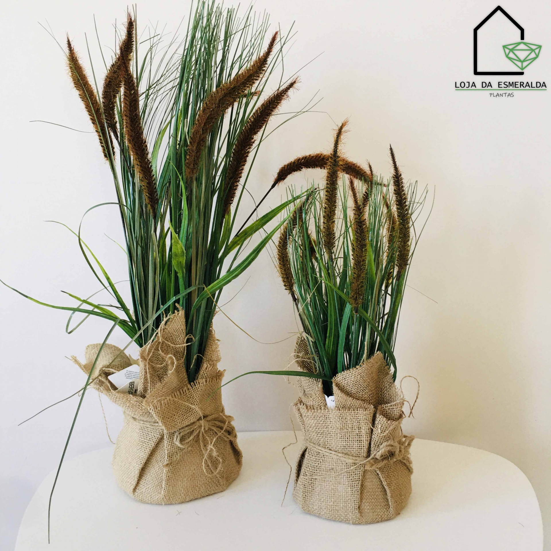 Plantas Decorativas | Sarapilheira