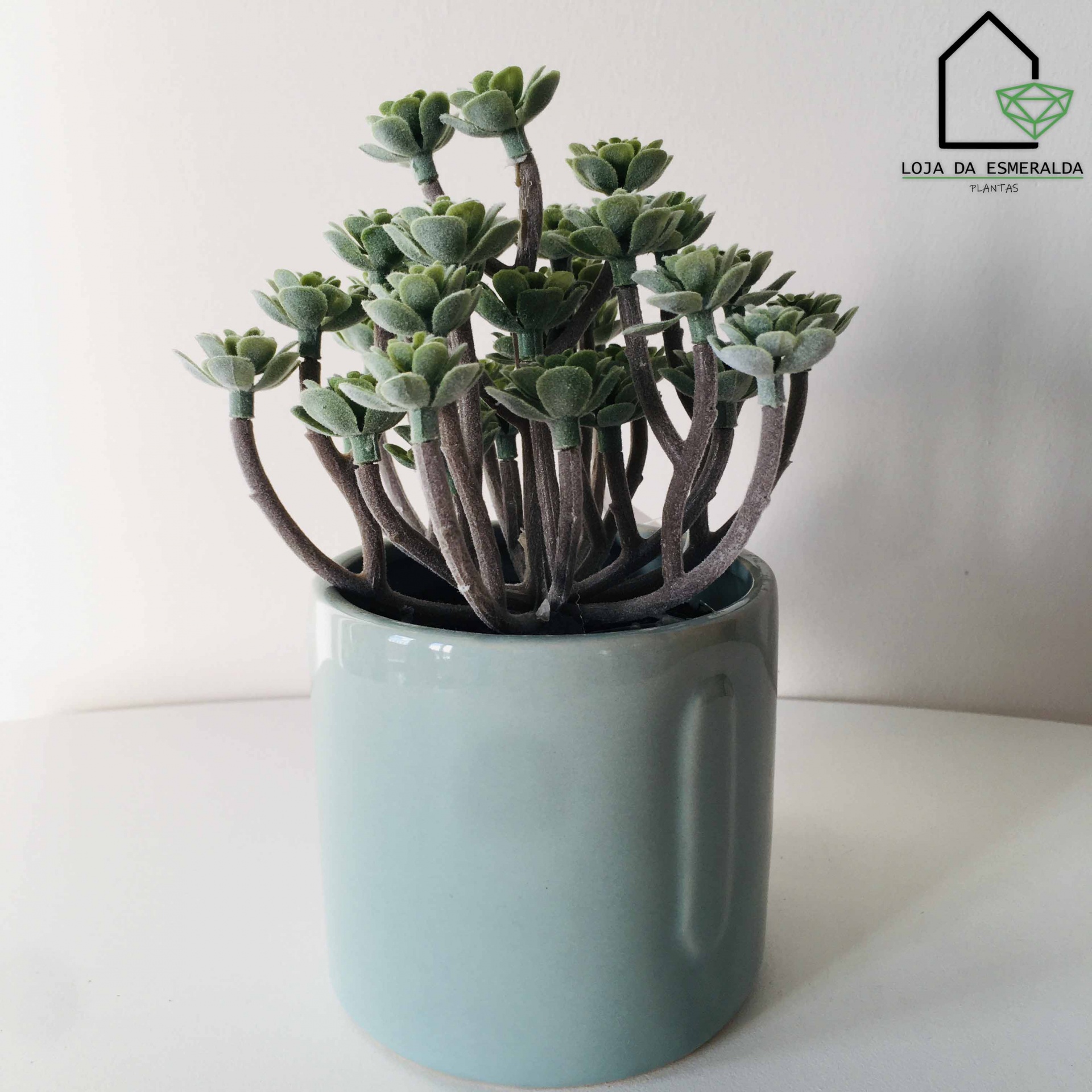 Vaso com Planta Oriente | 9x9x17CM