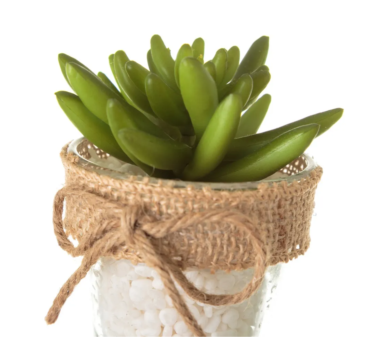 Mini Suculenta Decorativa | 7x7x13CM