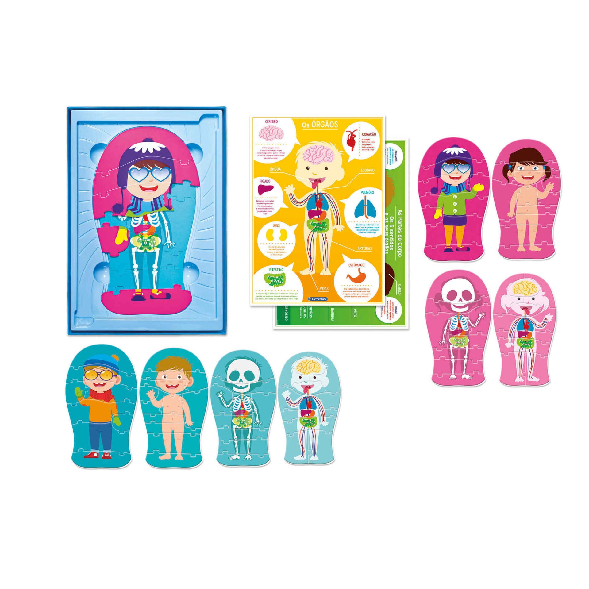 Jogos Educativos - O Corpo Humano - Mais de 4 anos
