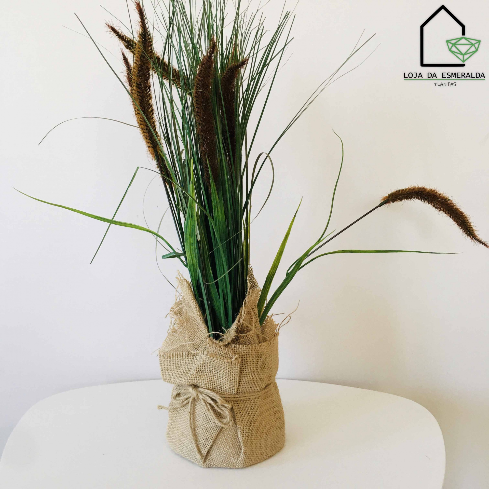 Plantas Decorativas | Sarapilheira