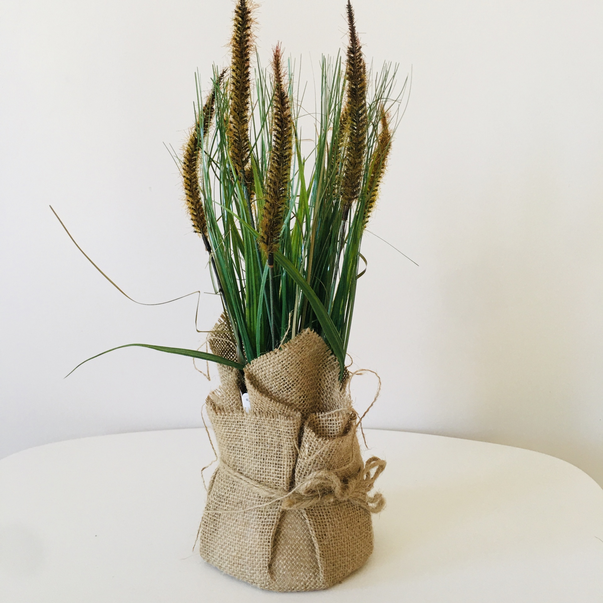 Plantas Decorativas | Sarapilheira