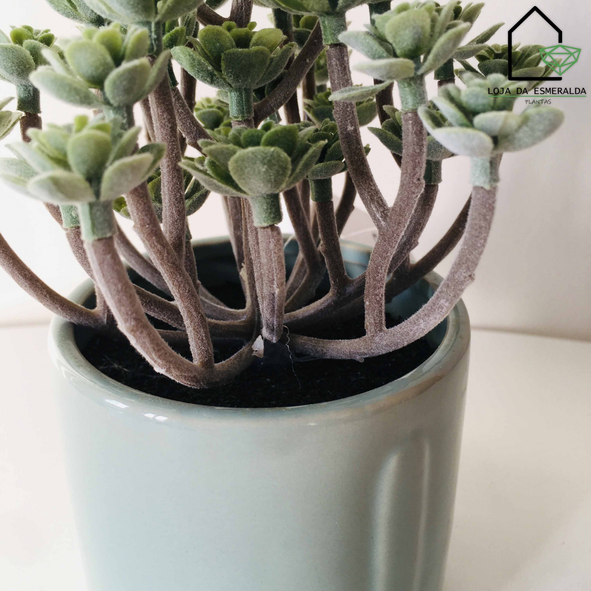 Vaso com Planta Oriente | 9x9x17CM