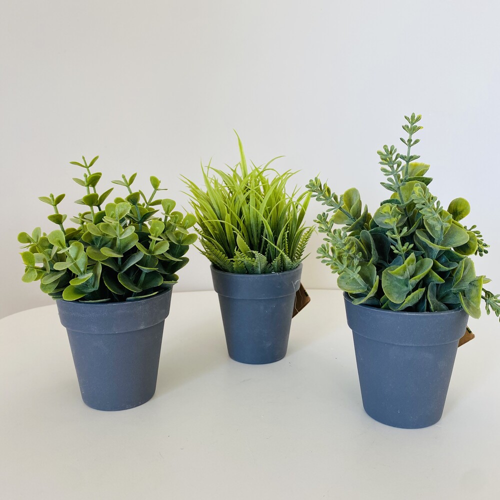 Vasos com Planta Artificial - C8xL8xA17CM