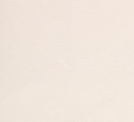 Boleira Retangular com Tampa - Plástico