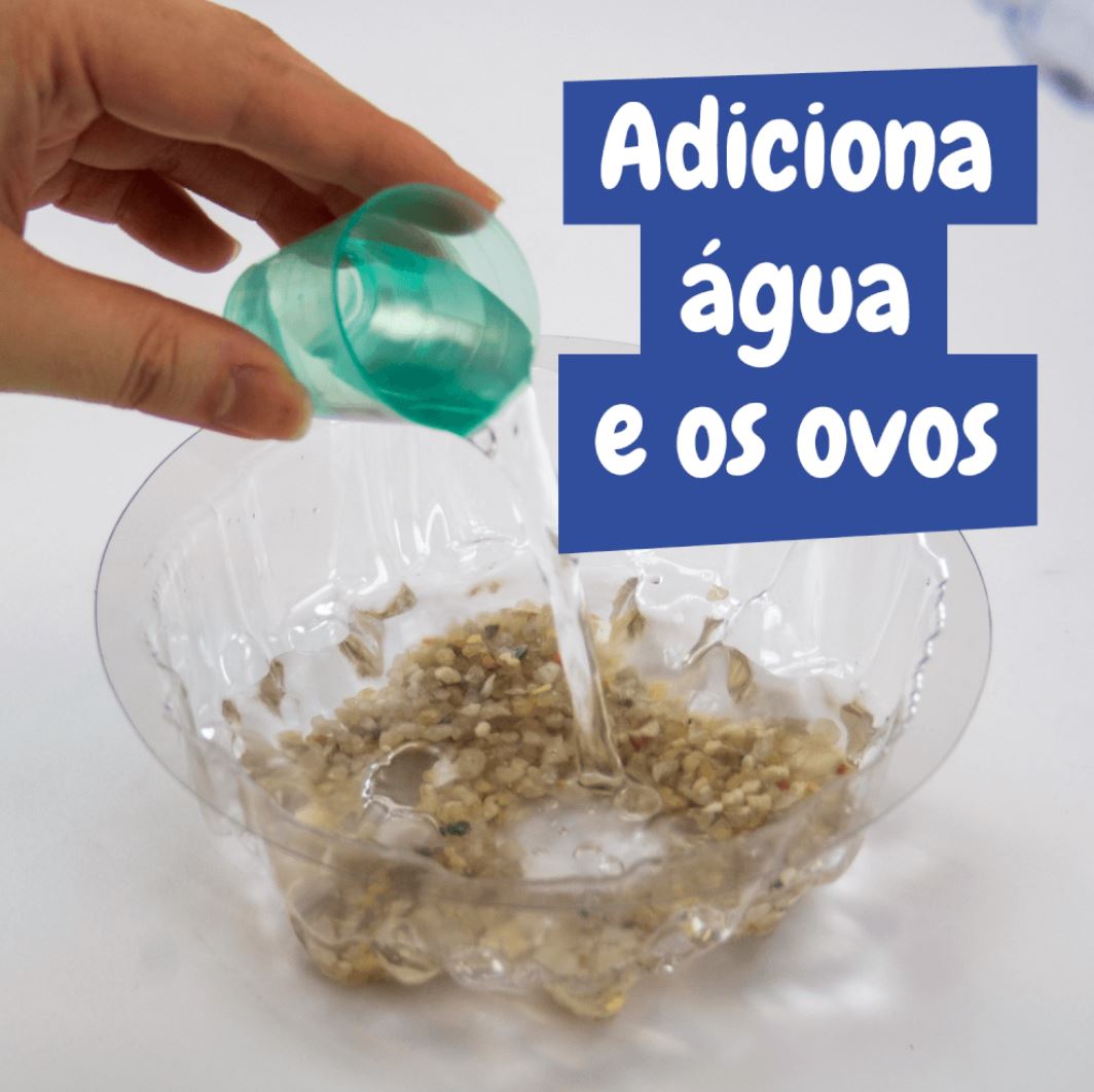 Brinquedo - Kit Criaturas Jurássicas - Mais de 6 Anos - Science4you