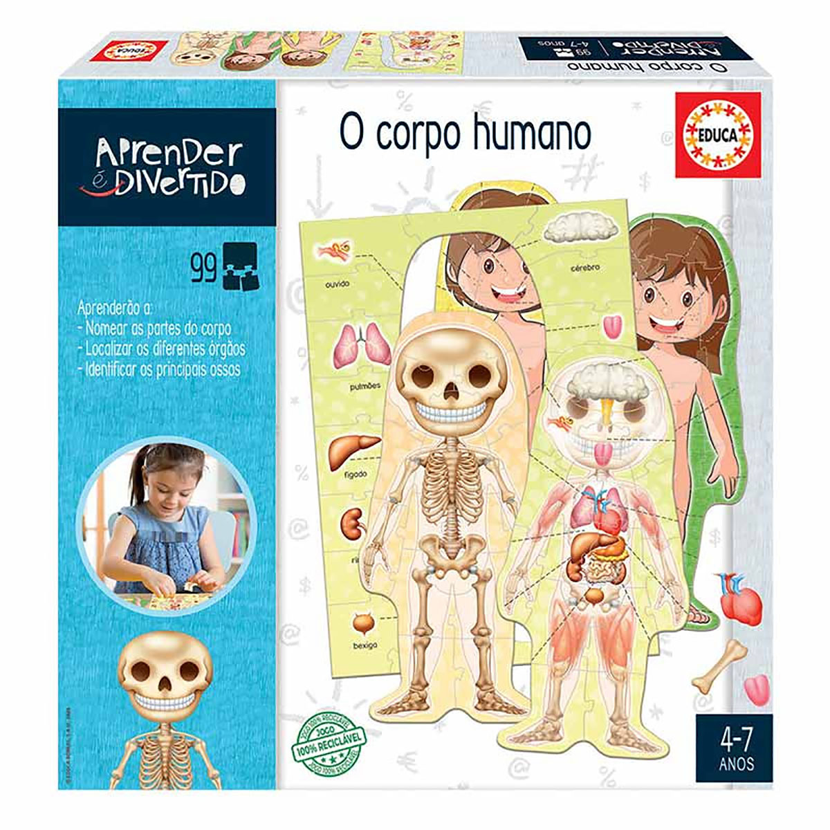 Aprender é Divertido | O corpo humano | 4-7 Anos