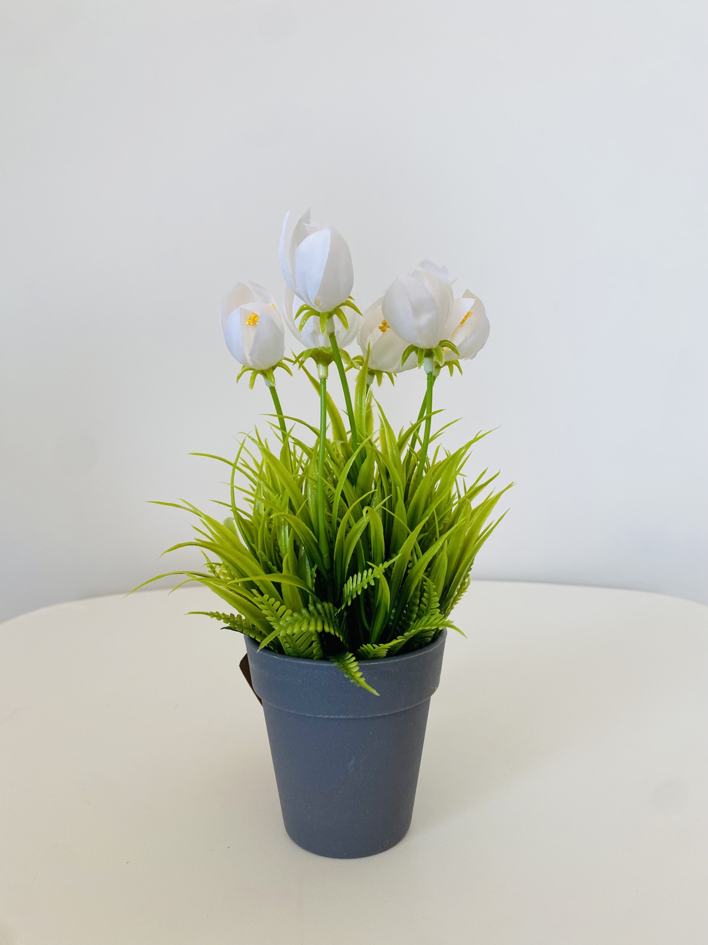 Planta Artificial com Flor em Vaso - C10xL10xA20CM - Branco e Verde