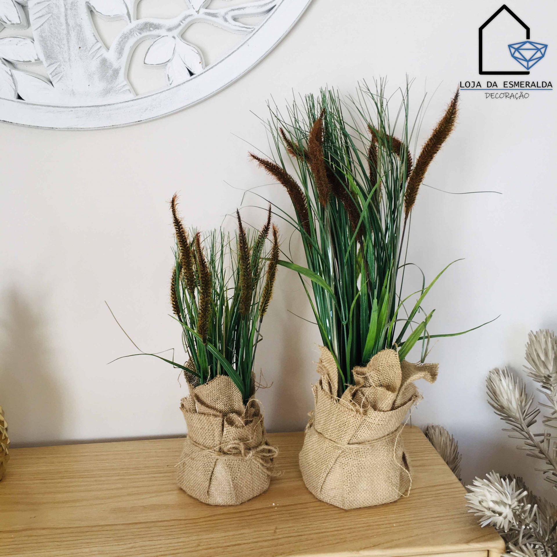 Plantas Decorativas | Sarapilheira