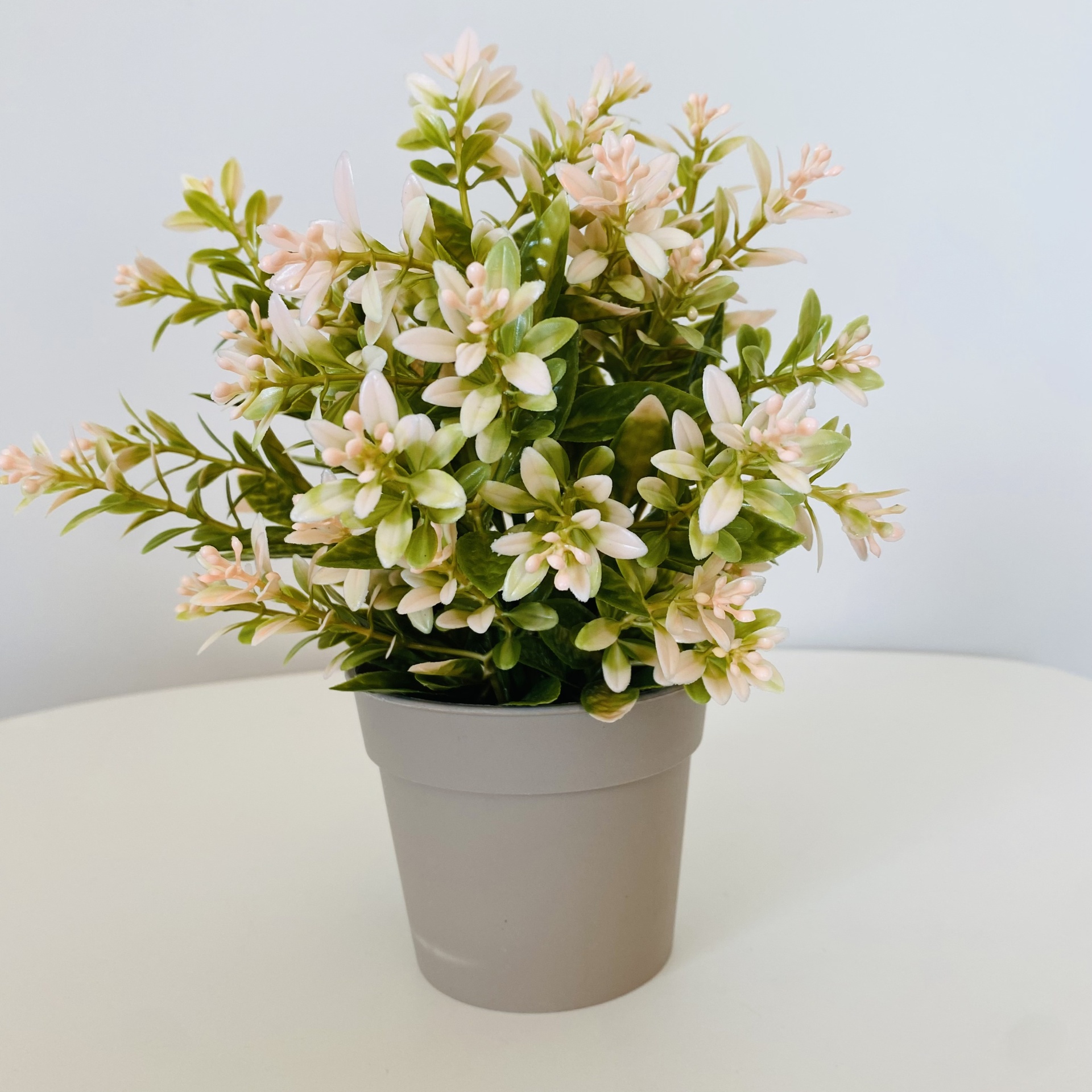 Planta Artificial com flor em Vaso - C19xL19xA22CM - Verde e Creme