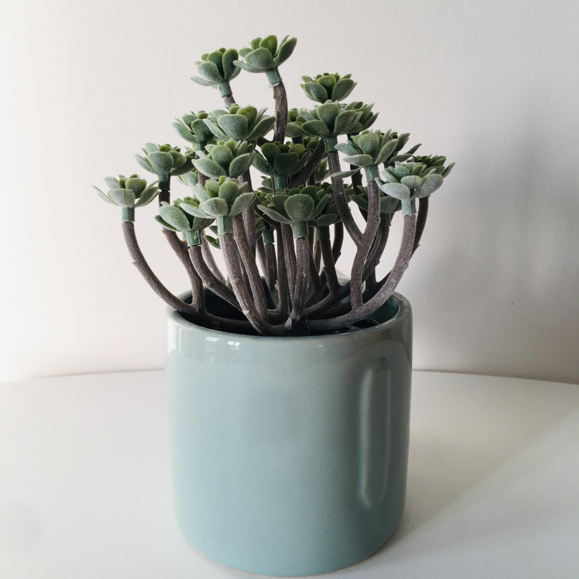 Vaso com Planta Oriente | 9x9x17CM