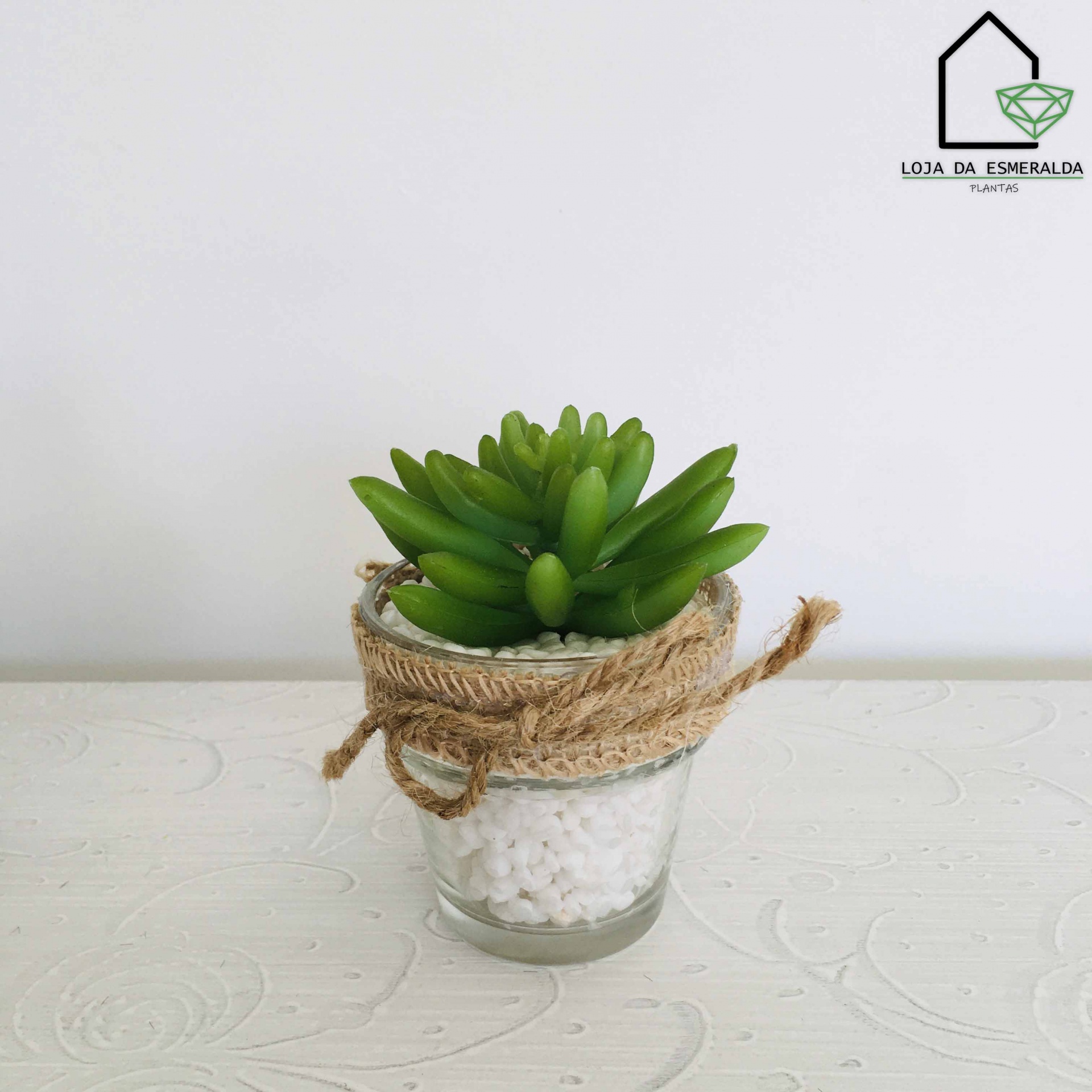 Mini Suculenta Decorativa | 7x7x13CM